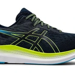 Asics Men's Evoride 2