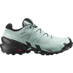 Salomon Women's Speedcross 6 GTX Aqua Black Yucca